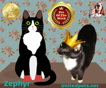 Zephyr of the ups98 family