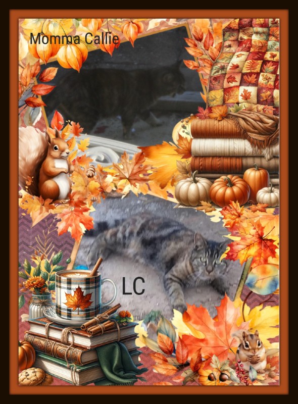 ups98 uploaded   1 year/s ago