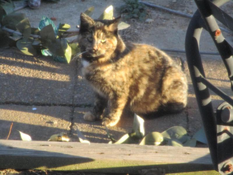 ups98 uploaded   1 year/s ago