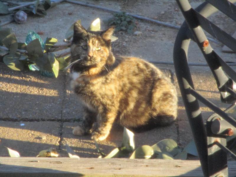 ups98 uploaded   1 year/s ago