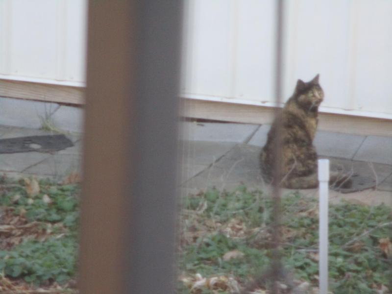 ups98 uploaded   1 year/s ago