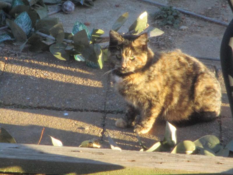 ups98 uploaded   1 year/s ago