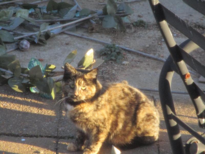 ups98 uploaded   1 year/s ago