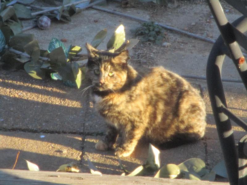 ups98 uploaded   1 year/s ago