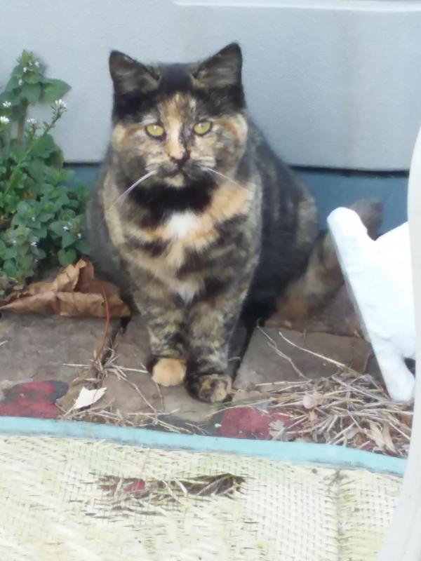 ups98 uploaded   1 year/s ago