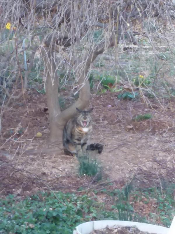 ups98 uploaded   1 year/s ago