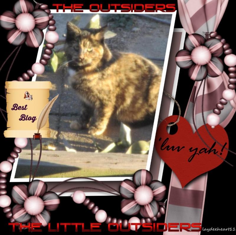 The Outsiders of the ups98 family