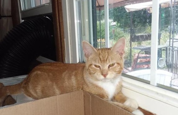 ups98 uploaded   254  day/s  ago