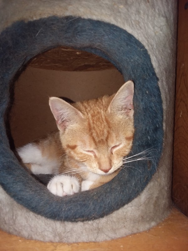 ups98 uploaded   267  day/s  ago