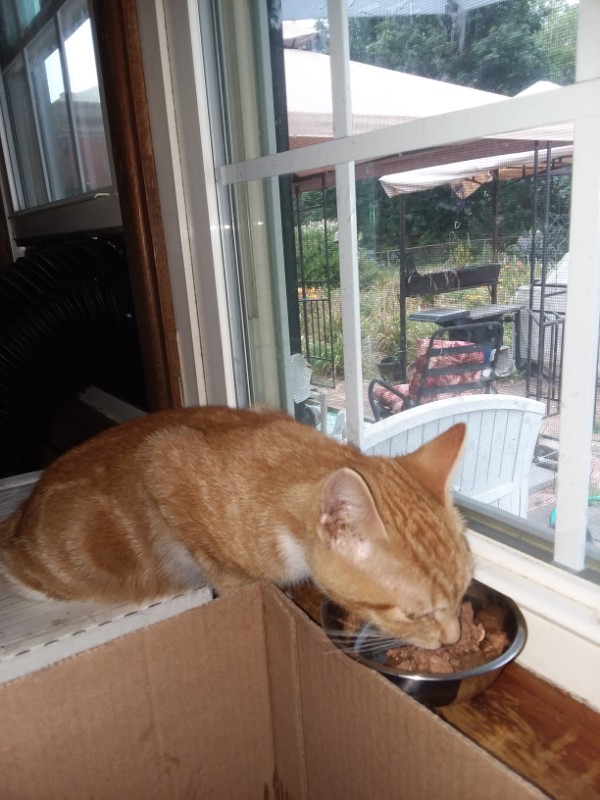 ups98 uploaded   254  day/s  ago