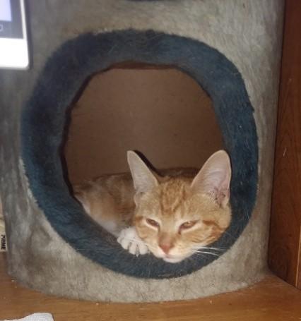 ups98 uploaded   267  day/s  ago