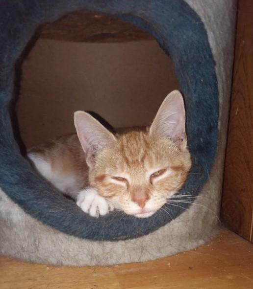 ups98 uploaded   267  day/s  ago