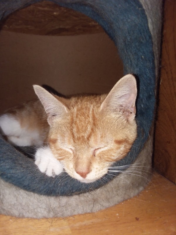 ups98 uploaded   267  day/s  ago