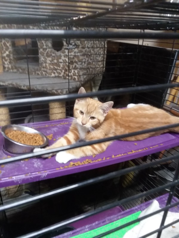 ups98 uploaded   268  day/s  ago