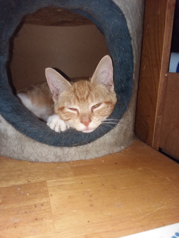 ups98 uploaded   267  day/s  ago