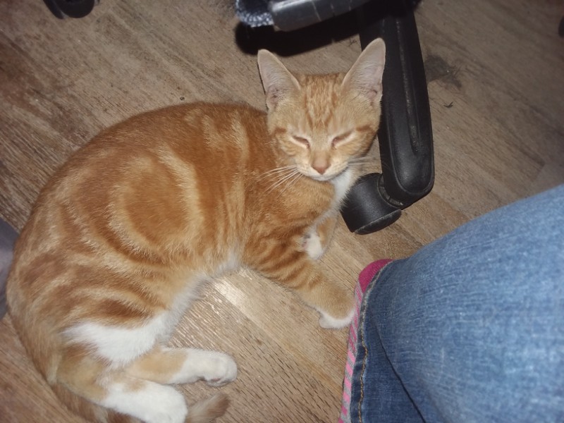 ups98 uploaded   267  day/s  ago