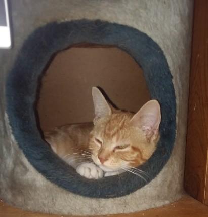 ups98 uploaded   267  day/s  ago