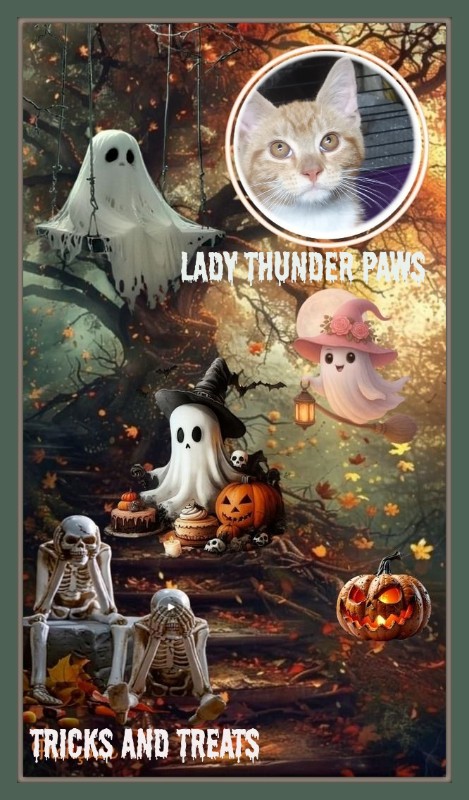 Lady Thunder Paws of the ups98 family