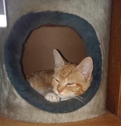 ups98 uploaded   267  day/s  ago