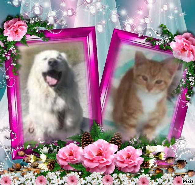 Lady Thunder Paws of the ups98 family