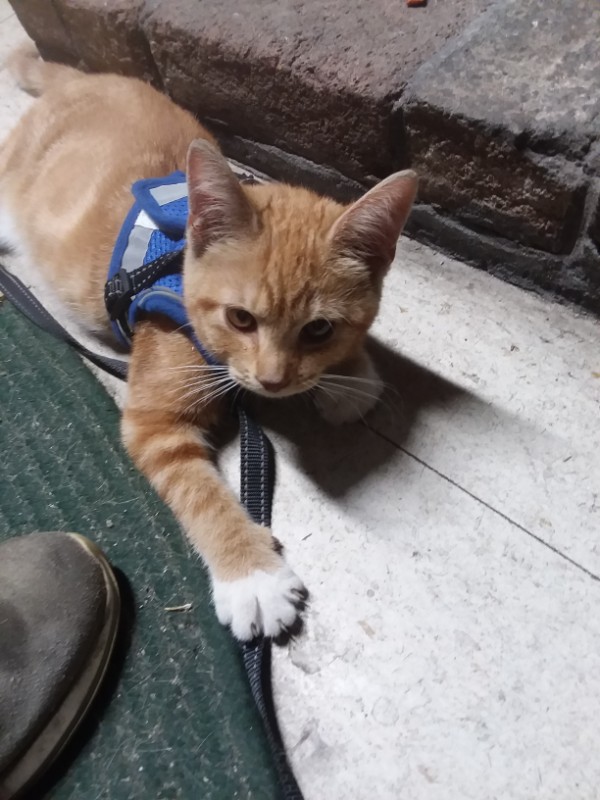 ups98 uploaded   268  day/s  ago