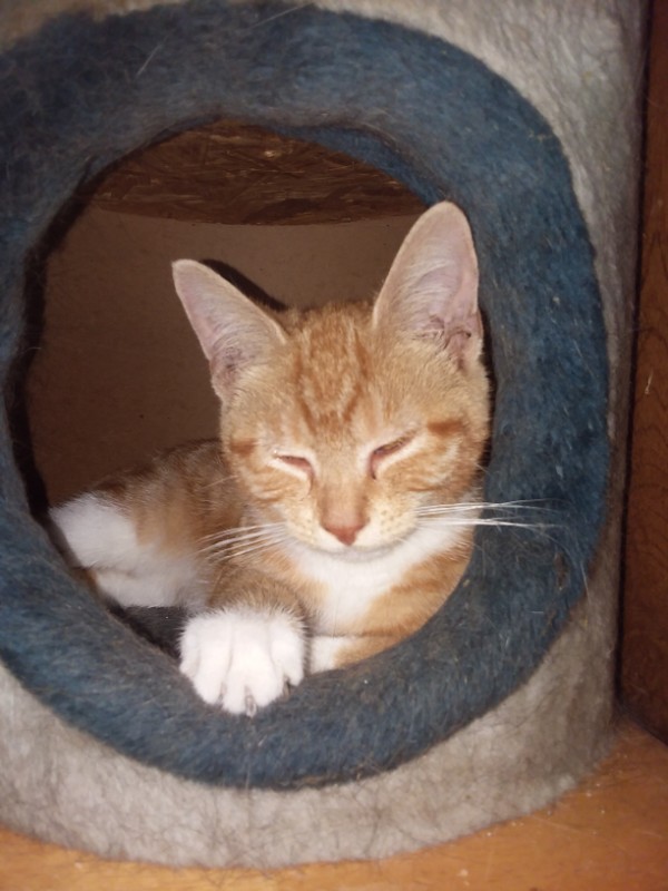 ups98 uploaded   267  day/s  ago