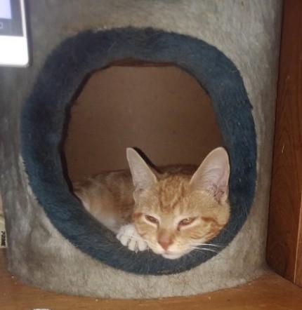 ups98 uploaded   267  day/s  ago