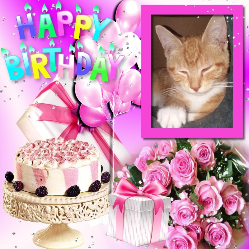 ups98 uploaded   4  day/s  ago