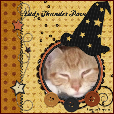 Lady Thunder Paws of the ups98 family