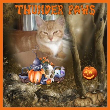 Lady Thunder Paws of the ups98 family