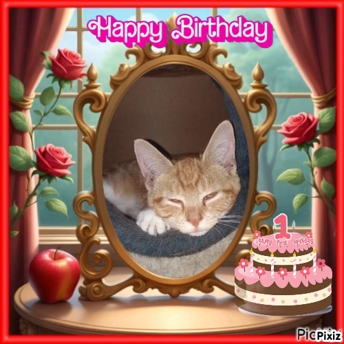 ups98 uploaded   4  day/s  ago