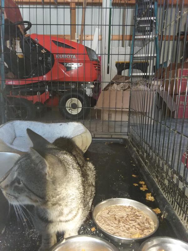 ups98 uploaded   215  day/s  ago