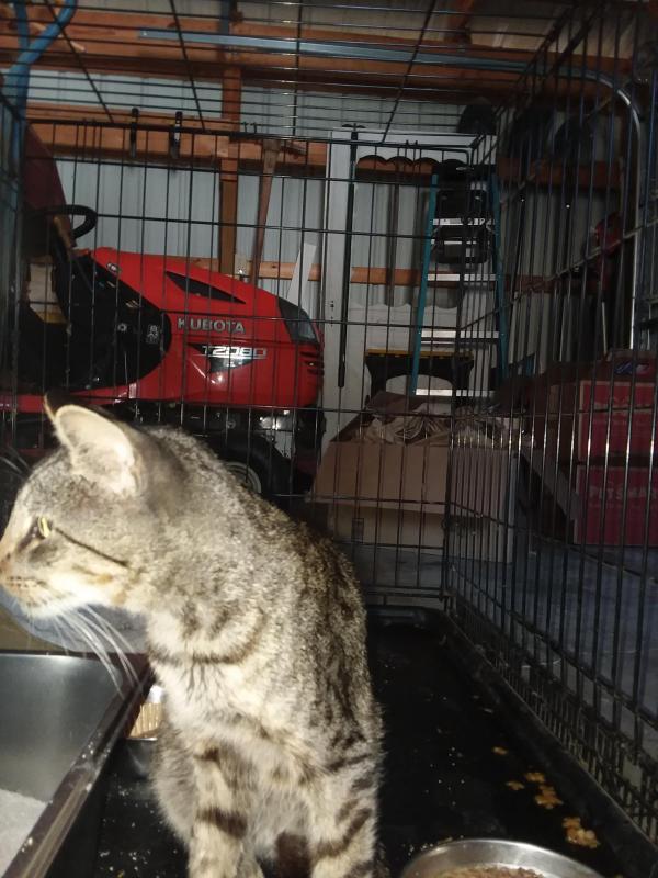 ups98 uploaded   215  day/s  ago