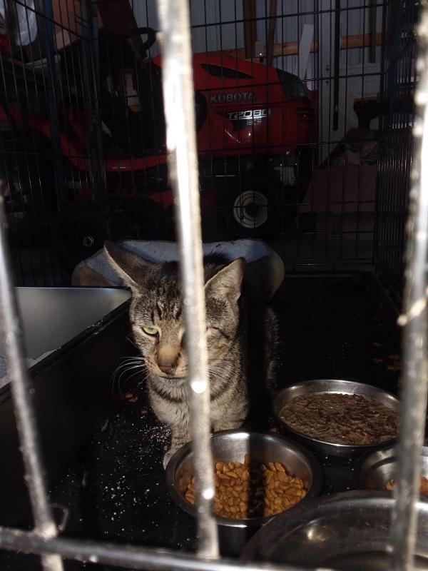 ups98 uploaded   215  day/s  ago