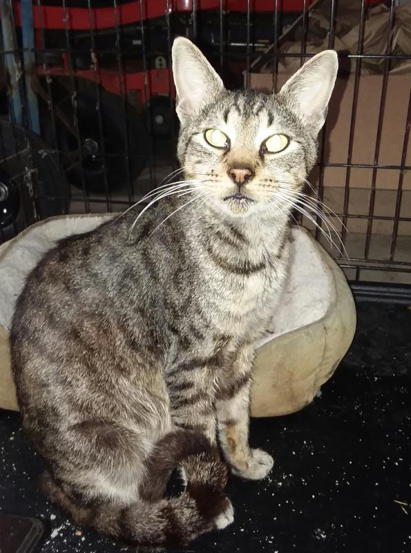 ups98 uploaded   213  day/s  ago