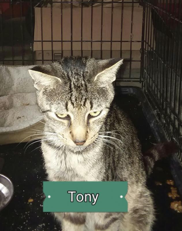 ups98 uploaded   213  day/s  ago