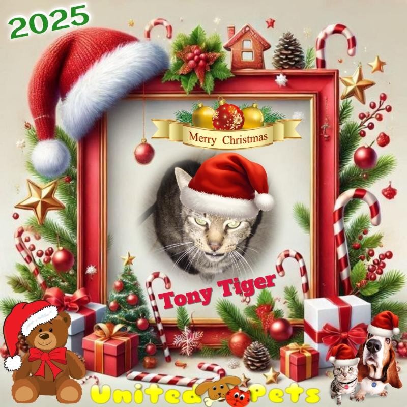 Tony Tiger of the ups98 family