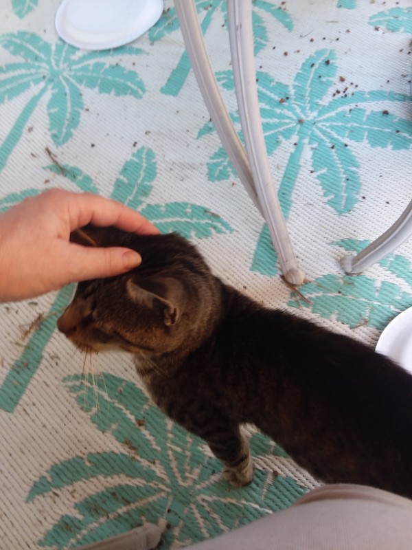 ups98 uploaded   216  day/s  ago