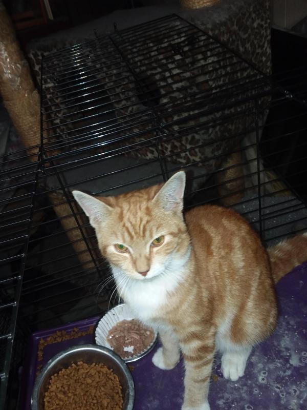 ups98 uploaded   213  day/s  ago