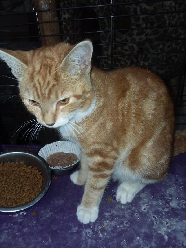 ups98 uploaded   213  day/s  ago