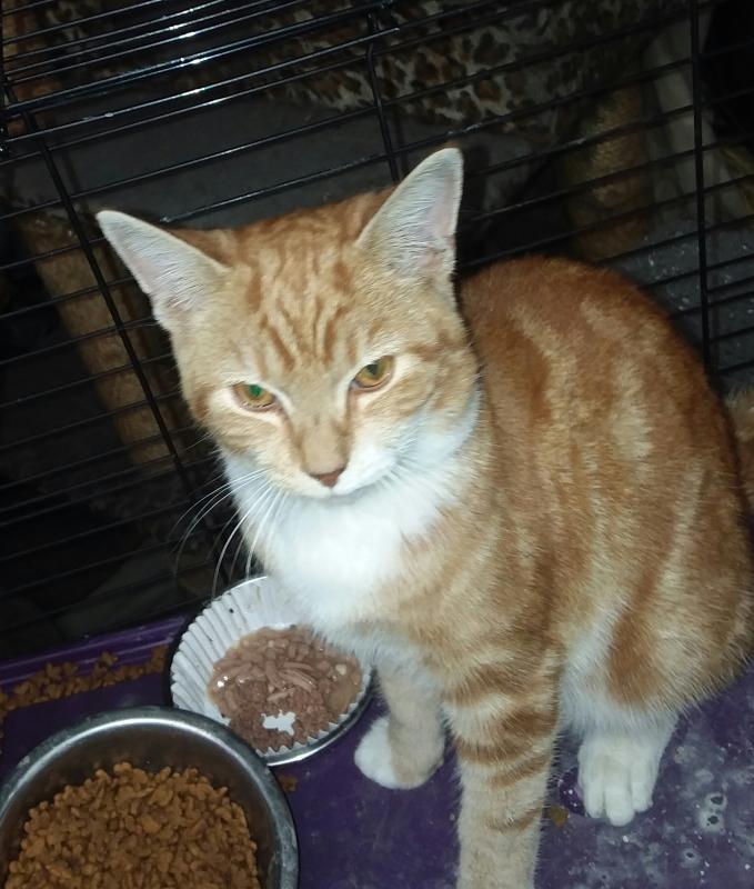 ups98 uploaded   213  day/s  ago