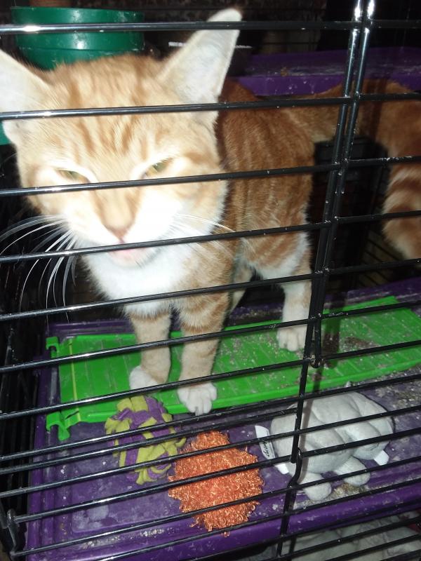 ups98 uploaded   213  day/s  ago