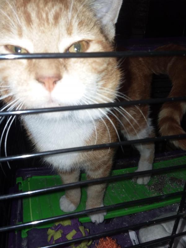 ups98 uploaded   213  day/s  ago