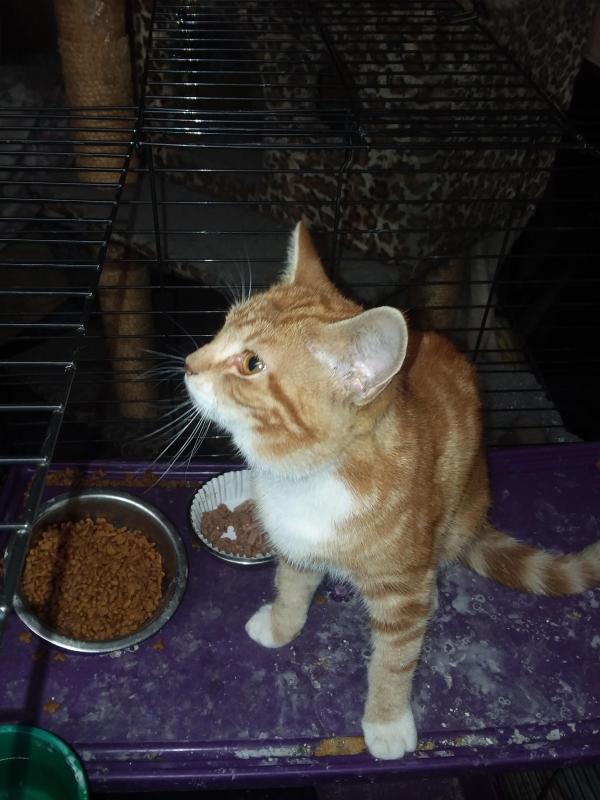 ups98 uploaded   213  day/s  ago