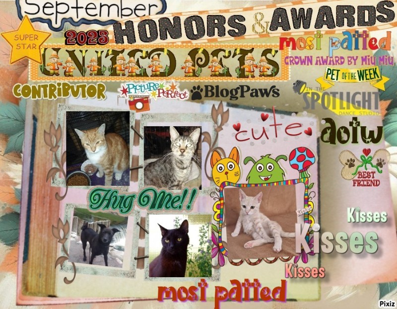 Lightening Bug of the ups98 family