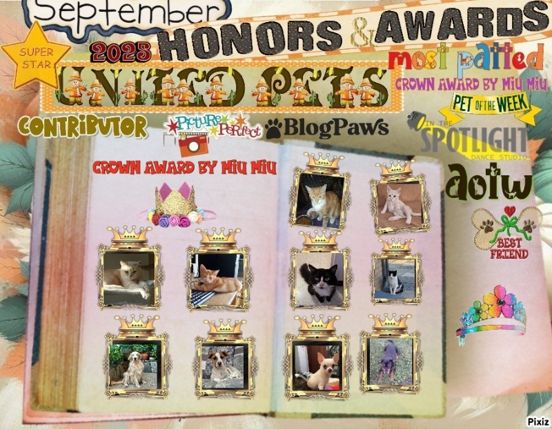 Lightening Bug of the ups98 family