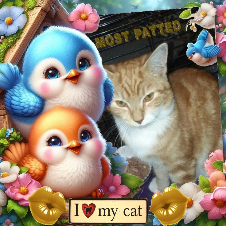 Lightening Bug of the ups98 family