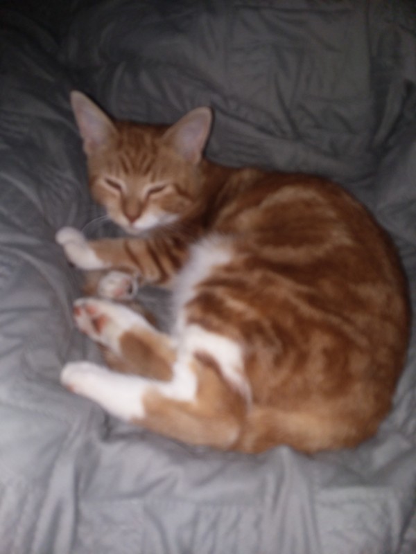 ups98 uploaded   211  day/s  ago