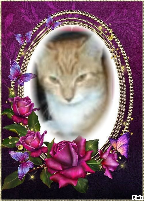 Lightening Bug of the ups98 family