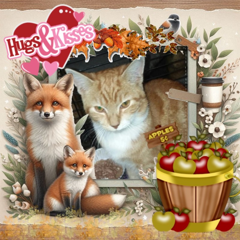 Lightening Bug of the ups98 family